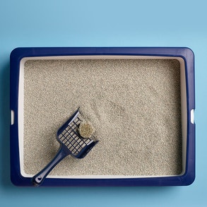 Bovenaanzicht van kattenbak met kattenbakvulling erin, met schep