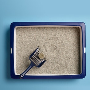 Bovenaanzicht van kattenbak met kattenbakvulling erin, met schep