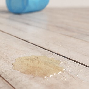 Witte kat zittend in een blauwe tunnel 