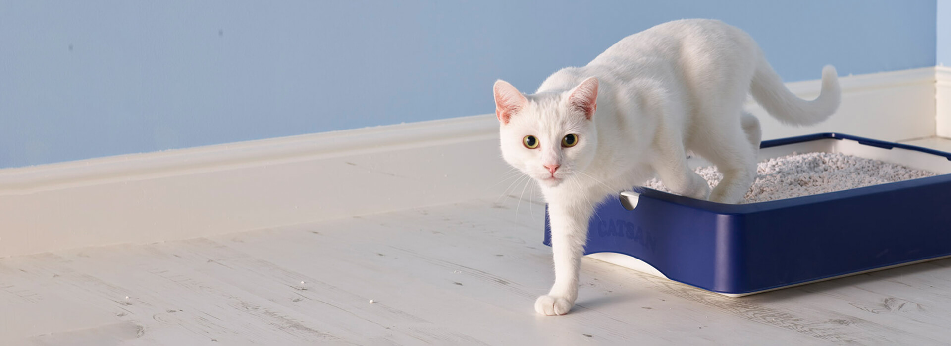 Voorkomen dat kattenbakvulling stinkt CATSAN kattenbakvulling